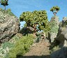 Schotland Diorama Miniatuur